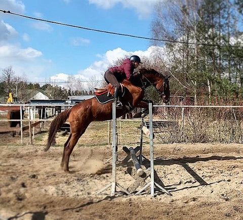 Winderen Sattelpad fürs Springreiten Slim 10mm Pink 16"