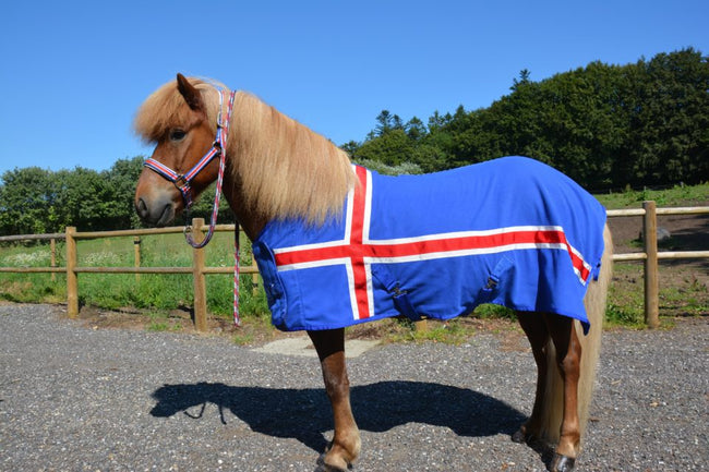Luxuriöse Pferdedecke in den isländischen Farben