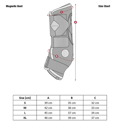 Conductive Magno Hock Boots- Magnetfeldtherapie Sprunggelenkschoner