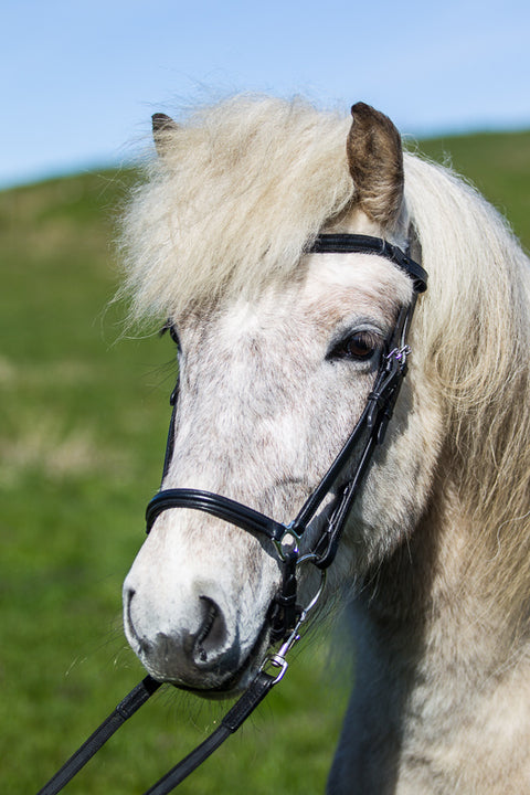 Hannoverscher Nasenriemen aus schwarzem Leder von Eques