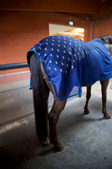 Accuhorsemat Cooler (mit neuen Akupressur für den Rücken) - Akkupressur Decke für Pferde mit Netzdecke